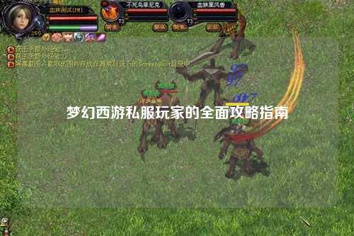 夢(mèng)幻西游私服玩家的全面攻略指南