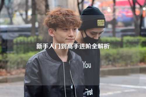 新手入門到高手進(jìn)階全解析