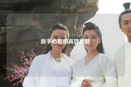 新手必看的高效攻略