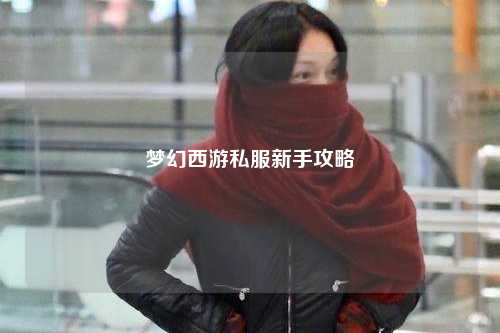 夢幻西游私服新手攻略