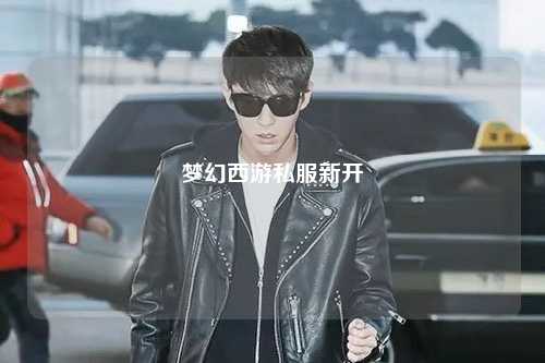 夢(mèng)幻西游私服新開