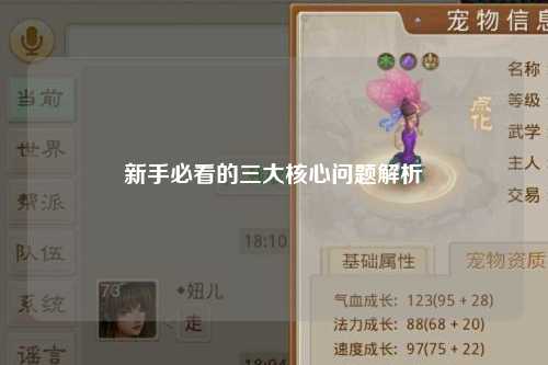 新手必看的三大核心問(wèn)題解析