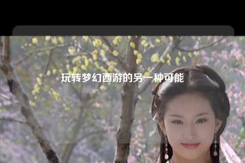 玩轉(zhuǎn)夢(mèng)幻西游的另一種可能