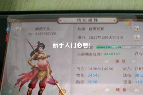 新手入門(mén)必看！