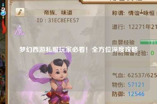 夢(mèng)幻西游私服玩家必看！全方位深度攻略
