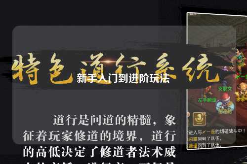 新手入門到進階玩法