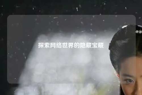 探索網(wǎng)絡(luò)世界的隱藏寶藏