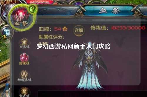 夢(mèng)幻西游私網(wǎng)新手入門攻略