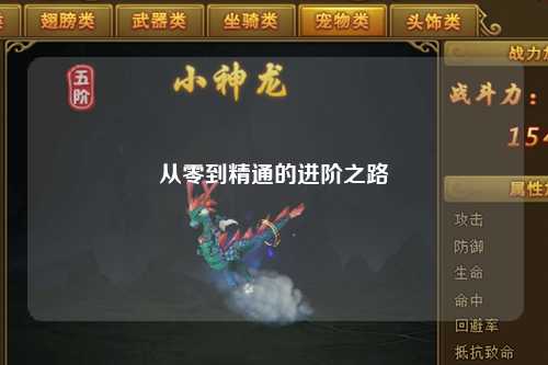 從零到精通的進(jìn)階之路