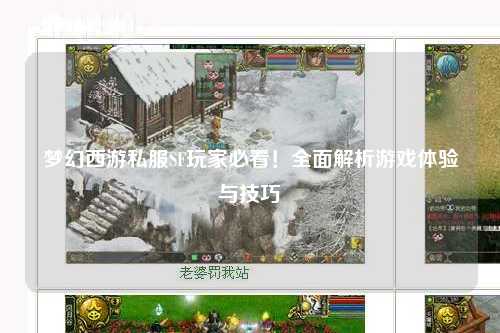 夢幻西游私服SF玩家必看!全面解析游戲體驗與技巧