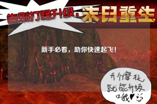新手必看，助你快速起飛！