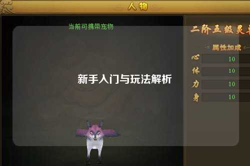 新手入門與玩法解析