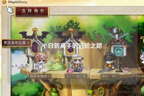 小白到高手的進(jìn)階之路