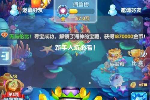 新手入坑必看！