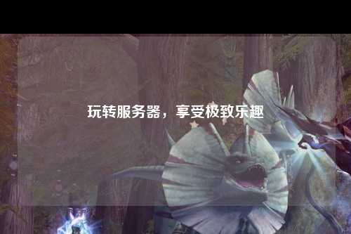 玩轉(zhuǎn)服務(wù)器，享受極致樂(lè)趣