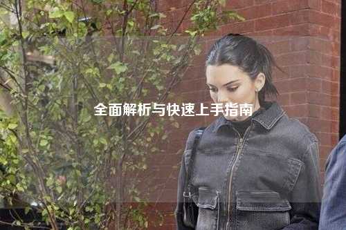 全面解析與快速上手指南