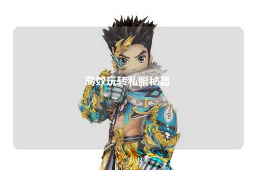 高效玩轉(zhuǎn)私服秘籍