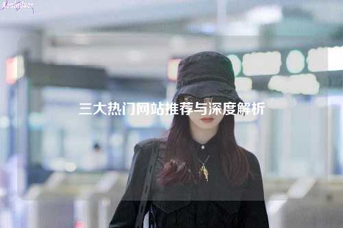 三大熱門網(wǎng)站推薦與深度解析