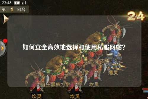 如何安全高效地選擇和使用私服網(wǎng)站？