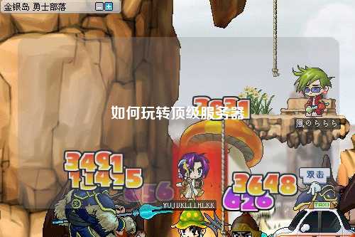 如何玩轉(zhuǎn)頂級(jí)服務(wù)器