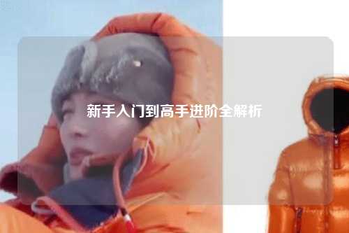 新手入門到高手進(jìn)階全解析