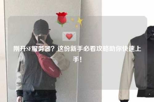 剛開(kāi)SF服務(wù)器？這份新手必看攻略助你快速上手！