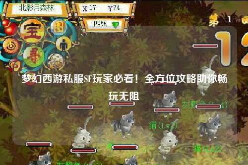 夢(mèng)幻西游私服SF玩家必看！全方位攻略助你暢玩無阻