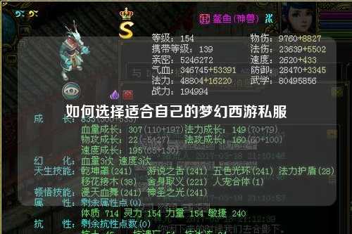 如何選擇適合自己的夢幻西游私服