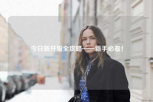 今日新開服全攻略——新手必看!