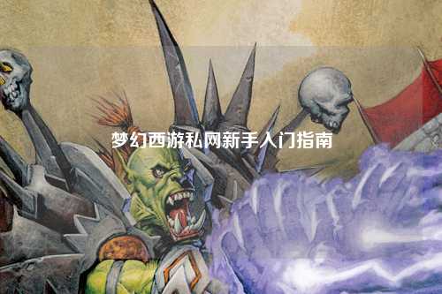 夢(mèng)幻西游私網(wǎng)新手入門指南