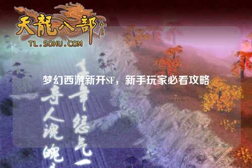 夢(mèng)幻西游新開SF，新手玩家必看攻略