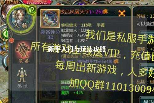 新手入門與玩法攻略