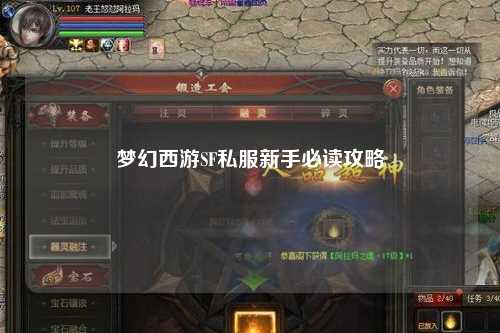 夢(mèng)幻西游SF私服新手必讀攻略