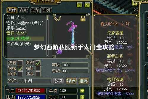 夢(mèng)幻西游私服新手入門全攻略