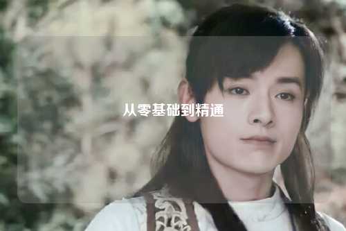 從零基礎(chǔ)到精通