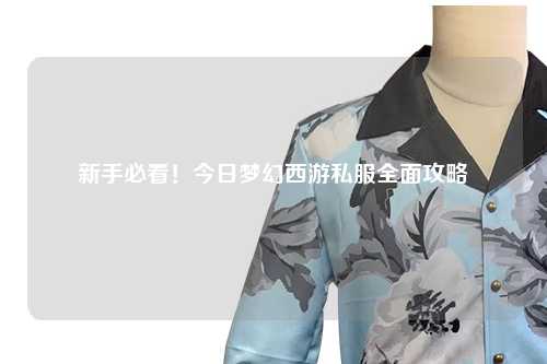新手必看！今日夢(mèng)幻西游私服全面攻略