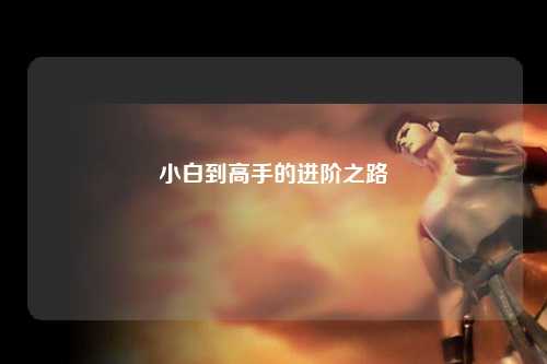 小白到高手的進(jìn)階之路