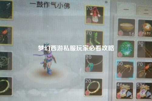 夢(mèng)幻西游私服玩家必看攻略