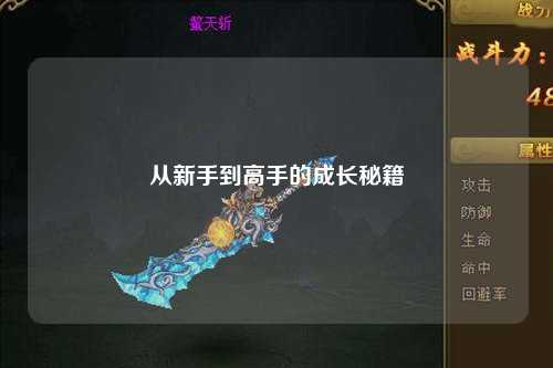 從新手到高手的成長(zhǎng)秘籍