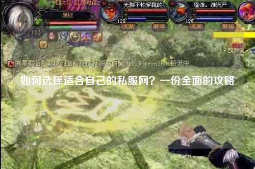 如何選擇適合自己的私服網(wǎng)？一份全面的攻略