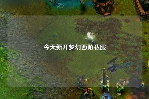 今天新開(kāi)夢(mèng)幻西游私服