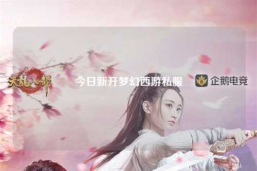 今日新開夢(mèng)幻西游私服