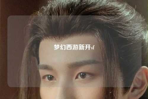 夢(mèng)幻西游新開sf