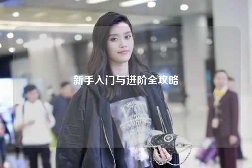 新手入門與進(jìn)階全攻略