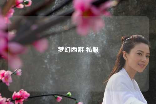 夢幻西游 私服