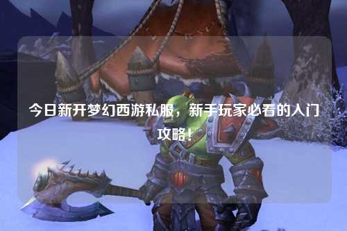 今日新開夢幻西游私服，新手玩家必看的入門攻略！