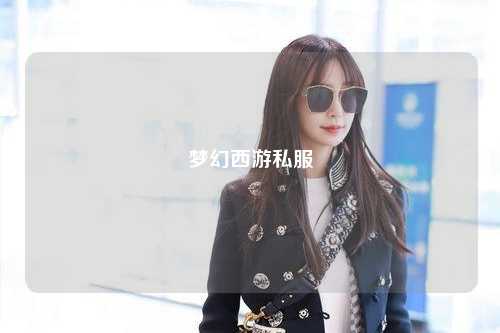 夢(mèng)幻西游私服