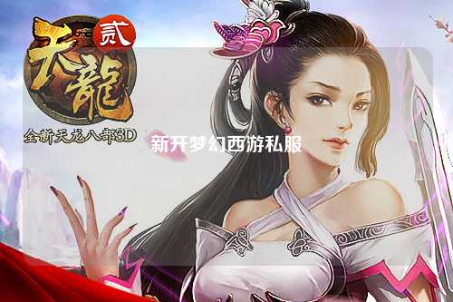 新開夢(mèng)幻西游私服